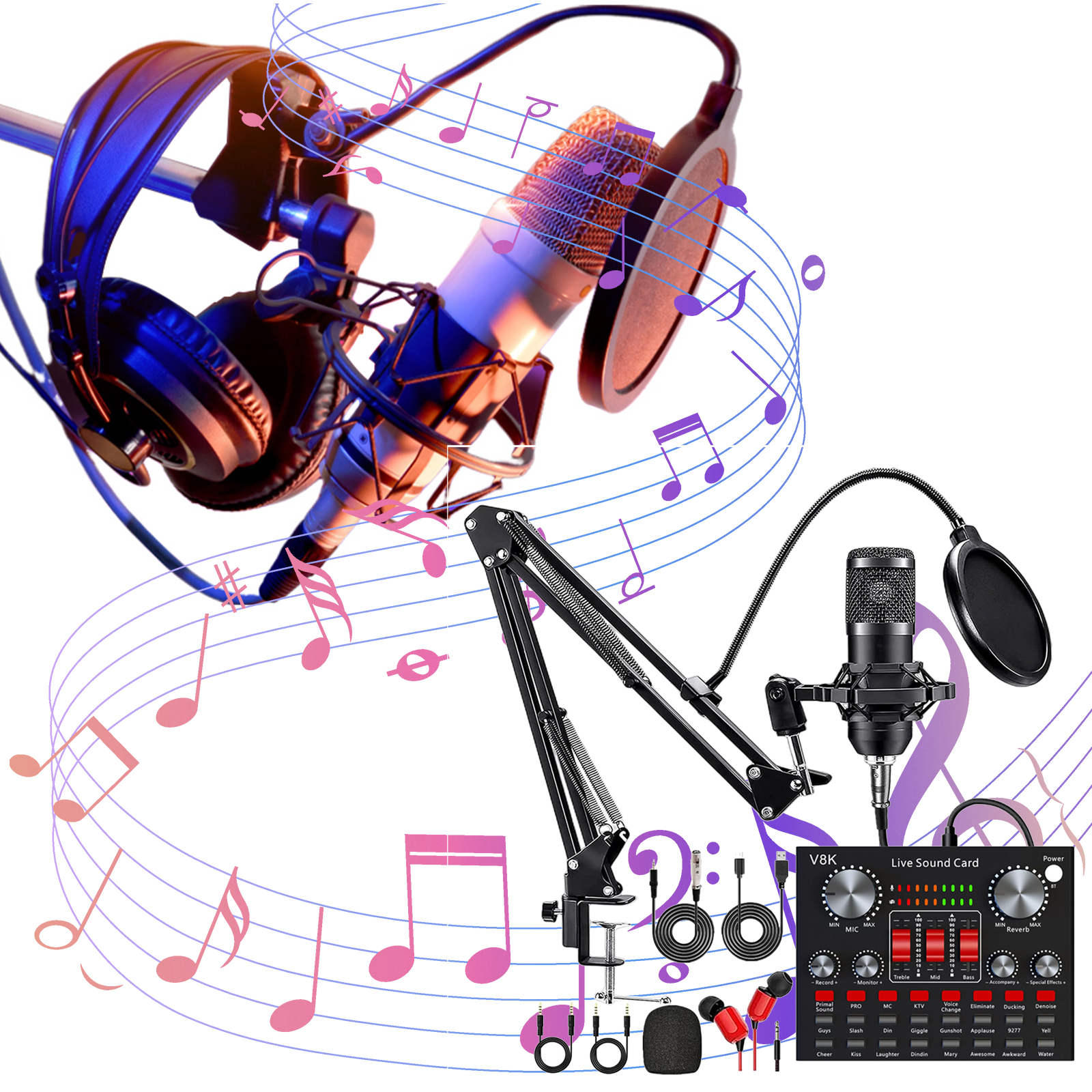 All-in-One Recording Equipment - Audio Music Voice Changer recension och pris
