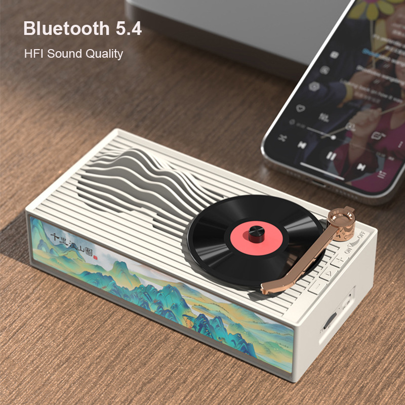 Black Vinyl Record Design Wire - Apple Music Audio Quality recension och pris