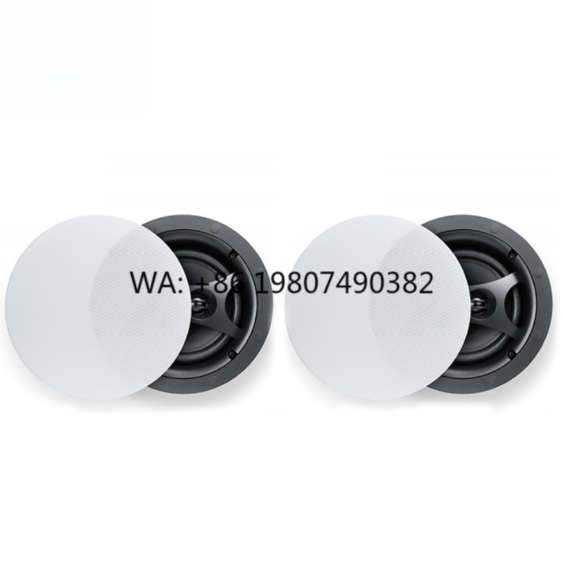 BLE Wireless Ceiling Speaker,  - Audio Music Link recension och pris